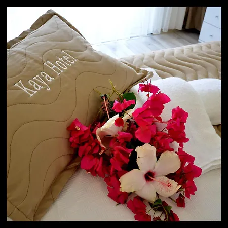 Kaya Hotell 3*